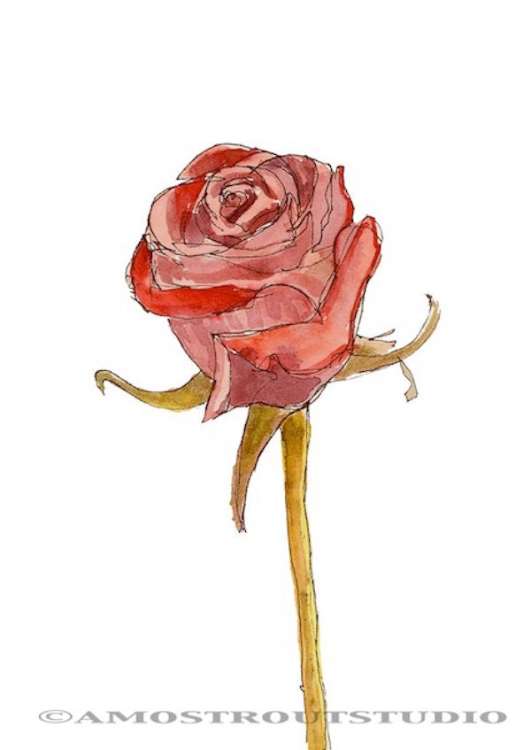 Single red rose, any wall art kids wall decor children nursery room decor archival PRINT signed giclee flower art print, 8.5x11 red white