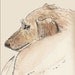 Dachshund wall art kids wall decor nursery children room decor archival print signed giclee dog art print, 8.5x11 tan brown
