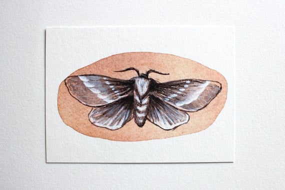 Two Moths - Watercolor Painting - Archival Art Print
