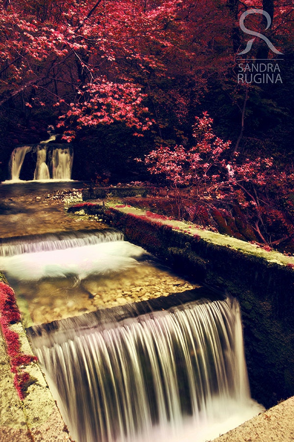 Red colors of autumn, surreal photo, red trees and river, small waterfall, forest, print you can frame for your wall (8in x 10in)