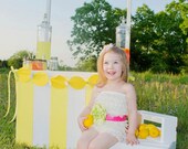 Lace Romper-Baby Lace Romper-Petti Romper-Flower Sash-Photo Prop