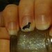 Dachshund Nail Art Decals Set of 50 Vinyl Stickers Applique Manicure Pedicure Party Event Accessories