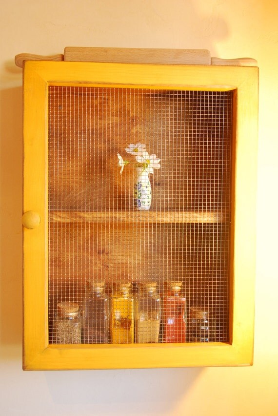 Rustic Storage Cabinet - 4.5" shelf - 2 shelf wood cabinet with wire door - AVAILABLE NOW