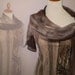 Brown Dress with silk collar and sleeves