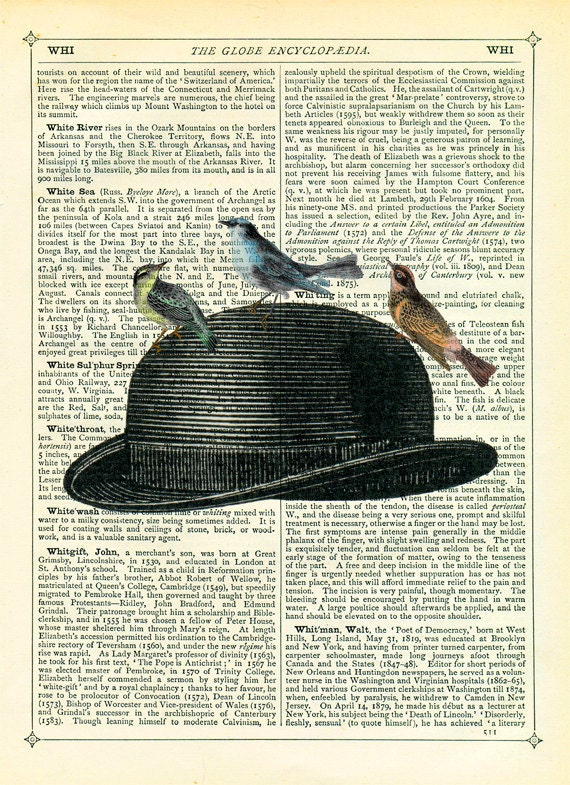 Art Print Dictionary Art Print Vintage Upcycled Book Page Bowler Hat with Birds Collage