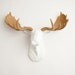 Faux Taxidermied - The Adolpho - White w/ Tan Antlers Resin Moose Head- Moose Resin White Faux Taxidermy- Chic & Trendy