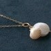 Beach Wedding Jewelry - Pearl Bridesmaid Necklaces - Shell and Coin Pearl - 14K Gold Filled - Set of 4 - Bridesmaid Jewelry, Bridal
