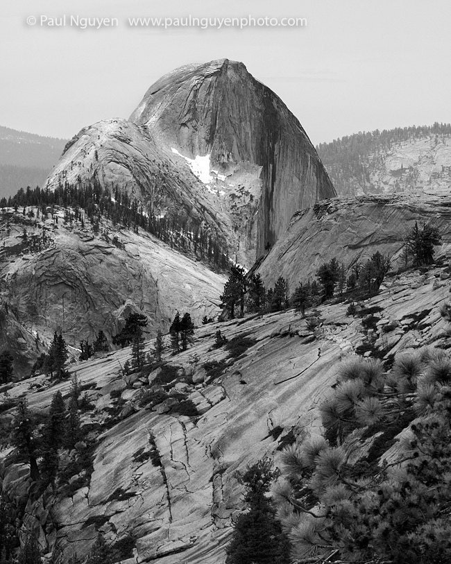 Half Dome, Yosemite black and white photograph, vertical 8x10 print matted on black 11x14 mat.  Half Dome seen from Olmstead Point, Yosemite