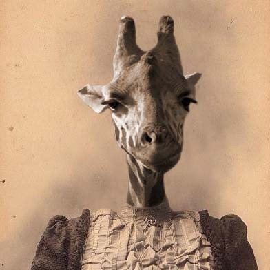Georgia the Giraffe 5x7 Anthropomorphic print