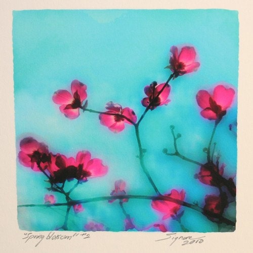Sale, Spring blossom, 4x4, Original signed, Fineart photograph, Floral decor, Home decor, blue decor, spring