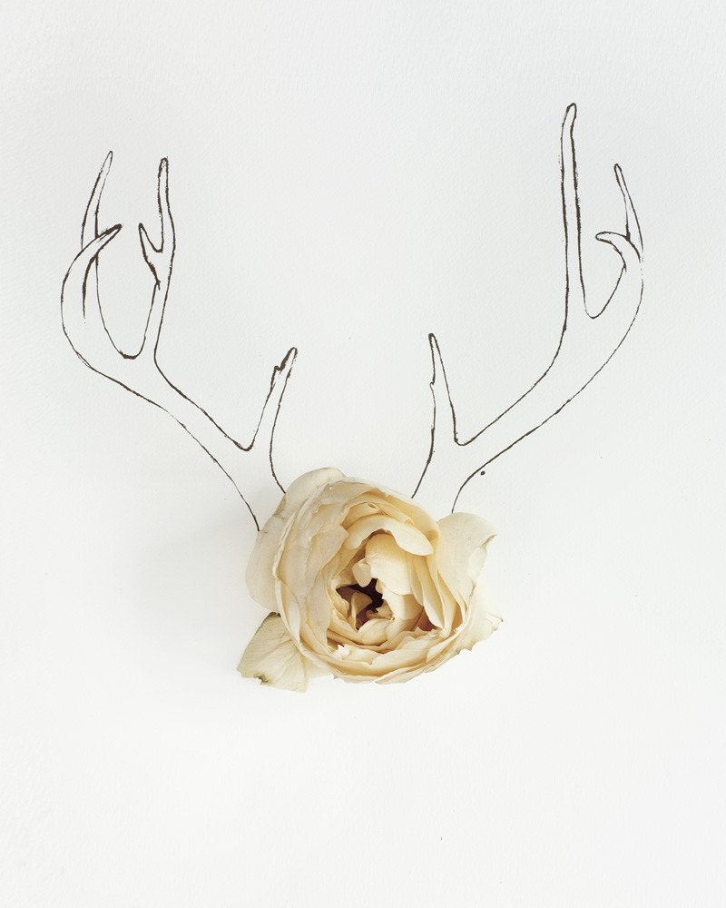Antler illustration and Flower No. 4222