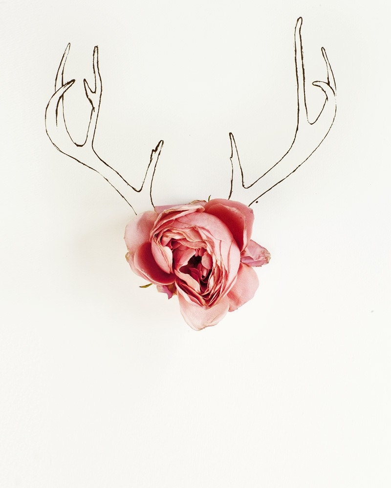 Antler illustration and Flower No. 4215