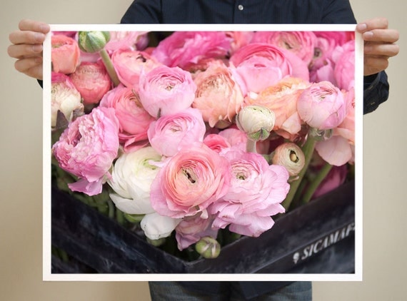 Ranunculus, Paris - 16x20 Paris Photo - French Fine Art Photography - Paris Decor - Pink Home Decor - Wall Art