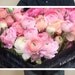 Ranunculus, Paris - 16x20 Paris Photo - French Fine Art Photography - Paris Decor - Pink Home Decor - Wall Art