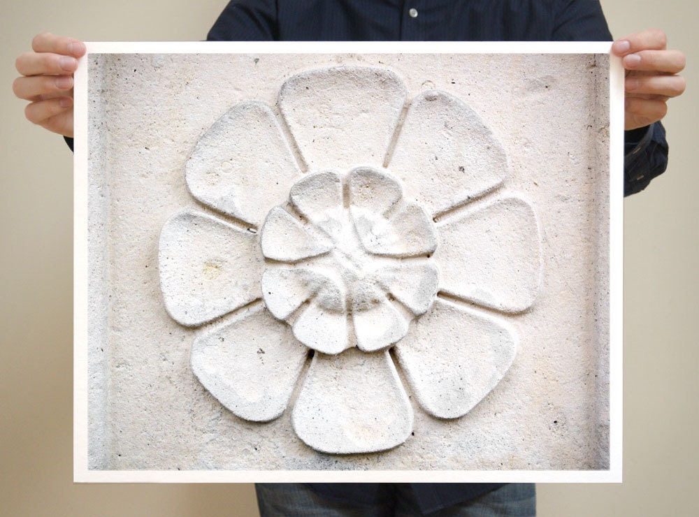 Paris Photography, Everlasting Flower - 16x20 French Large Art Prints - France Architectural Art - Floral Print - White Home Decor
