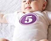 INSTANT DOWNLOAD - Printable Monthly Onesie Stickers - Multicolored