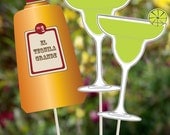 Cinco de Mayo Fiesta Printable PHOTOBOOTH PROPS - EDITABLE Text Instant Download Il_170x135