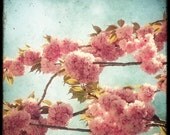 Pink Blossom - 8x8 Fine Art Print - Nature Photography - Flower TTV - Say It With Flowers - Etsy Wall Art - TFTeam - Flower Photograph