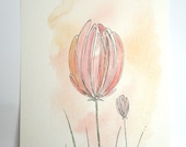 pink flower buds - original watercolor and ink pen painting