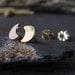 Tiny crescent moon 14k gold filled earrings. Artisan handmade minimlaist simple jewelry for her. Reflective hammered texture.