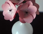 Blossom Anemone Flowers