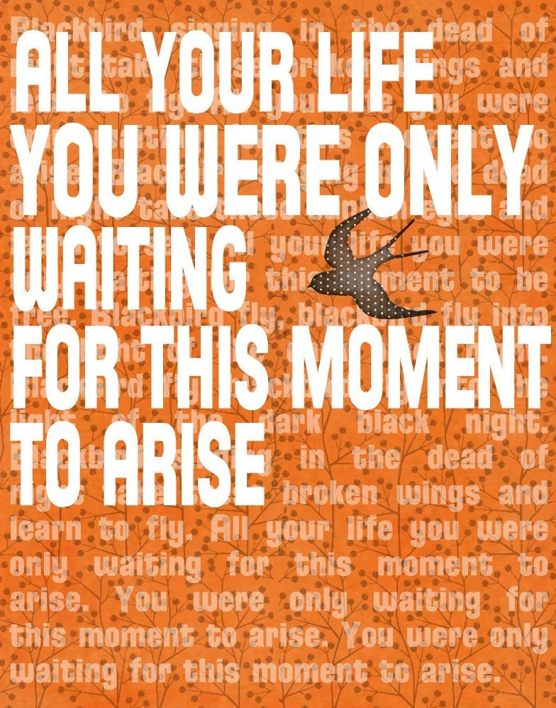Beatles Lyrics BLACKBIRD - Word Art Prints - Contemporary Greeting Card Tangerine Tango 5x7  Motivational - catalyst54