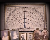 Family tree charts. 2 do-it-yourself blank posters to hand write personal family history for gifts, genealogy record, home decor.