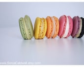 Macarons in a Row - kitchen, nursery, cute decor, still life photography - French desserts - 4x6 Original Fine Art Photograph