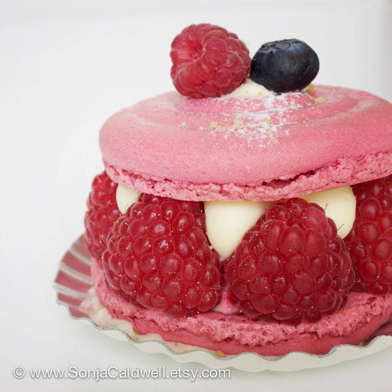 Pink Heaven - macaron photo, kitchen decor, French macaroon, food photography - 8x8 Original Fine Art Photograph