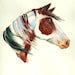 Horse Head Paint print of my original