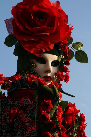 Red Rose - Signed photo 8 x 12 - BOGO sale - Venice carnival mask masquerade passion flower sky blu romantic baroque spring green valentine