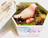 Shabby Terrarium Bird Nest Floral Wedding Cottage Mother's Day