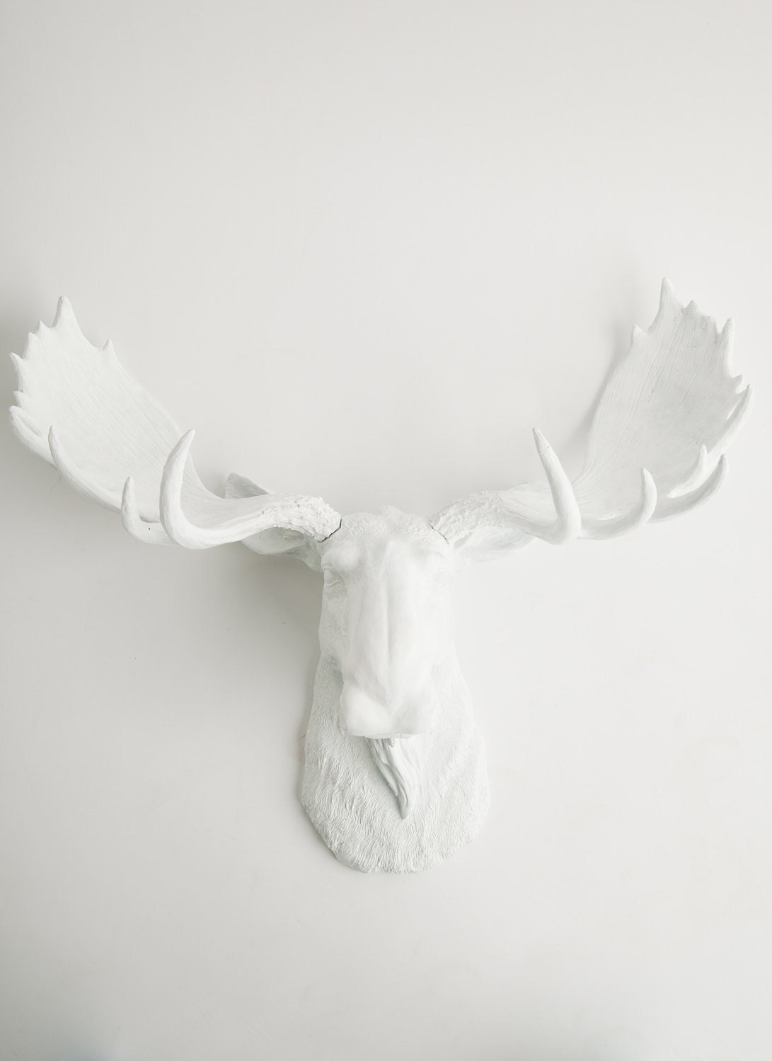 White Moose Head w/White Antlers - Faux Taxidermy - Chic & Trendy