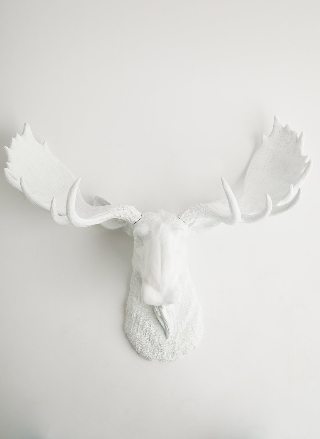 Faux Taxidermy - Spring Decorations - Celebrations - White Faux Taxidermy - The Edmonton - White Moose Head w/White Antlers