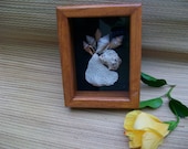 Sea shell Shadow box, seashell coral collage, 8 x 6", beach home decor