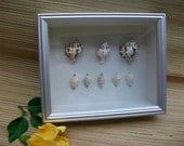 Sea Shell Shadow box collage, 11 x 9, shabby chic, beach home decor