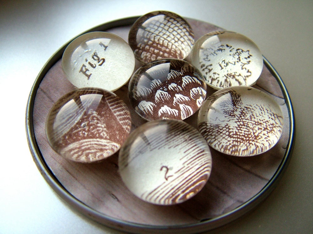Arboriculture -- SuperPowerful Abstract Antique Horticulture Magnet Marblet Set