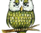 Green Owl - Ink and Watercolor Feathery Fellow - taramcauley