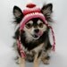 Dog hat crocheted, XS/SM, Pink, Red, White, Valentines Day favorite