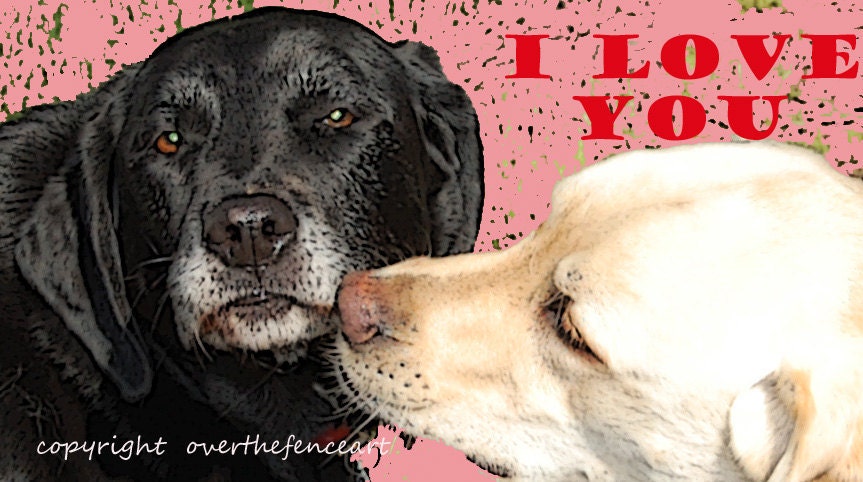 Fine Art Dog Photography Greeting Card Labrador Retrievers Best Friends Give Some Labbie Love