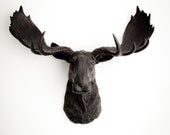Faux Moose Head - The Leonard - Black Resin Moose Head- Moose Resin Black Faux Taxidermy- Chic & Trendy - WhiteFauxTaxidermy