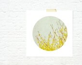 spring summer round print nature landscape rustic tree branches home decor - Yellow and grey Circle