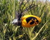 Hanging Fireflie Iowa Hawkeye Made in Iowa Free Shipping