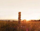 Tall Tales