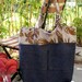 Market Tote Jeans and Canvas Bag Large