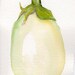 White Eggplant watercolor painting, 4 x 6 Original ART, vegetable series