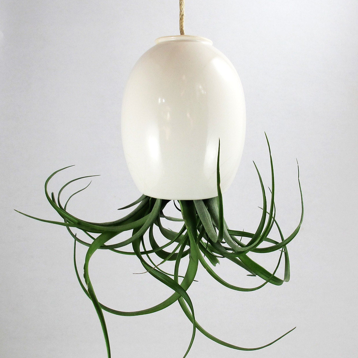 LARGE Hanging Air Plant Pod (tm)  - Gorgeous Glossy White