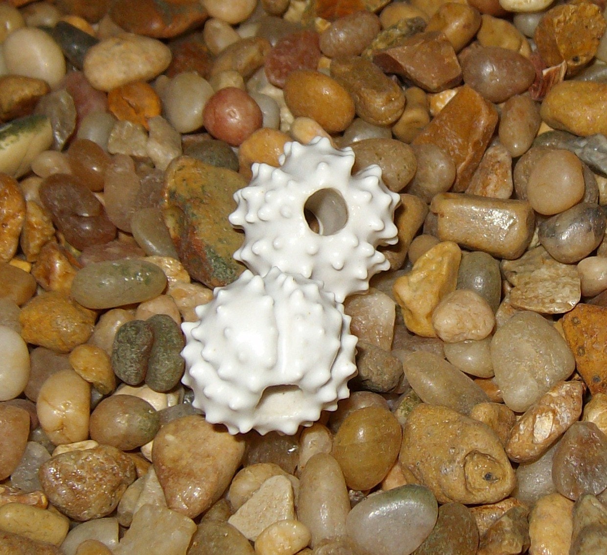 2 white Sea Urchin beads porcelain ceramic beads for necklace or jewelry creations in satin matte white - by Earth N Elements Pottery