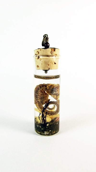 Seahorse Pendant SP2