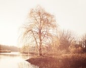 Spring Landscape Photography, Art Print, Trees in Fog, Photograph, Wall Art, Pale, Muted, Rust, Orange, Beige, White, Mist - Pale Fire
